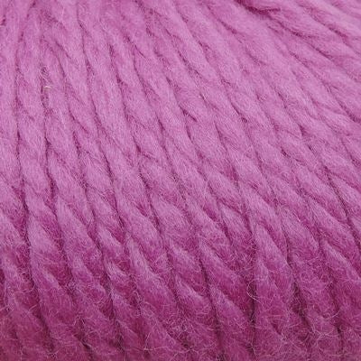 Q231-6093 - Orchid