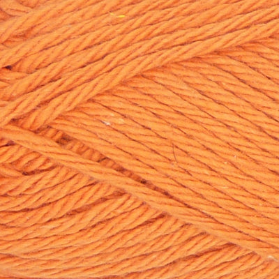 Q53925 - Carrot