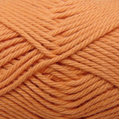 Q53977 - Pumpkin